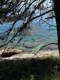 A serene view of clear waters and rocky shoreline framed by tree branches, creating a tranquil natural scene.