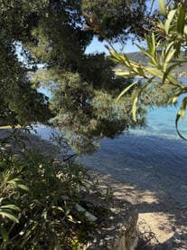 A partially obscured view of a serene waterfront scene, featuring trees and clear waters, creating a tranquil atmosphere.