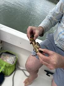 A person holds a freshly caught lobster aboard a boat, showcasing the excitement of fishing adventures on the water.