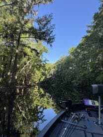 A serene view of a tranquil waterway surrounded by lush greenery, showcasing fishing gear on the boat — perfect for a peaceful day of fishing in nature.