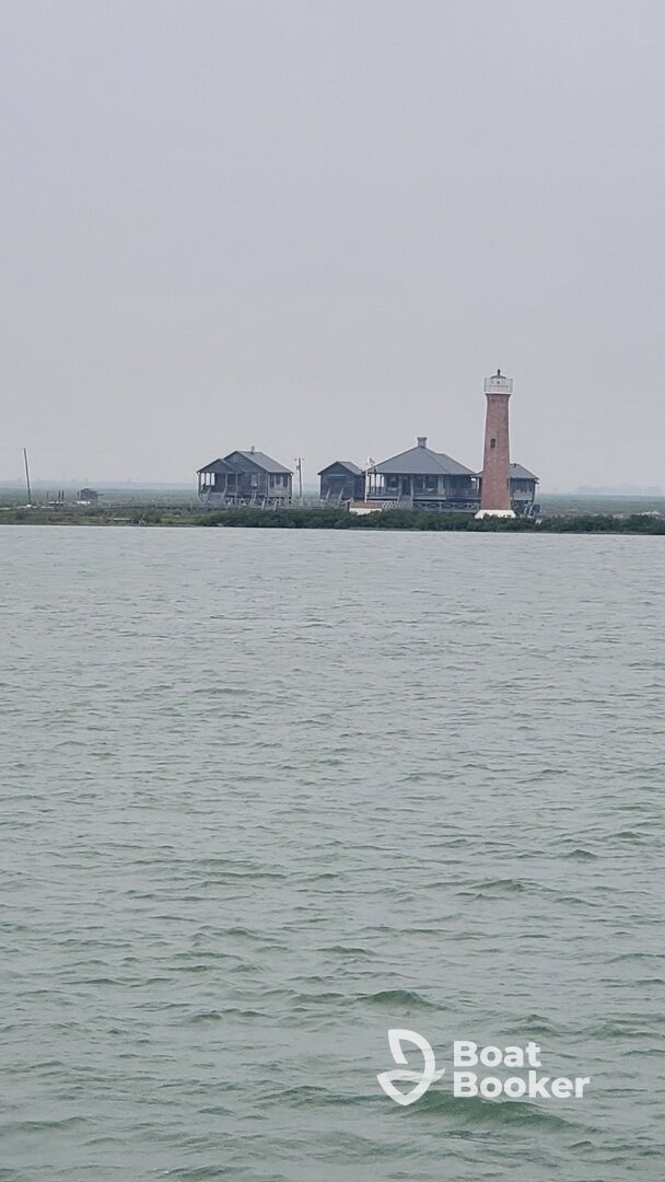Dolphin watching on the Sarita