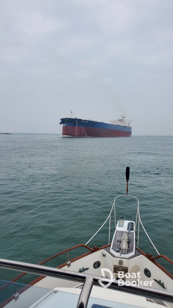 Dolphin watching on the Sarita