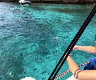 A person interacts with fish in crystal-clear waters, showcasing a vibrant underwater experience perfect for marine life enthusiasts.