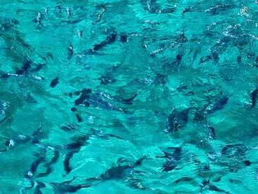 An abstract view of shimmering turquoise water, creating a serene underwater ambiance.