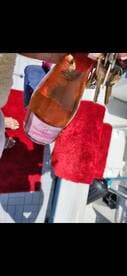 A refreshing raspberry cocktail is showcased on a boat, perfect for enjoying a sunny day on the water.