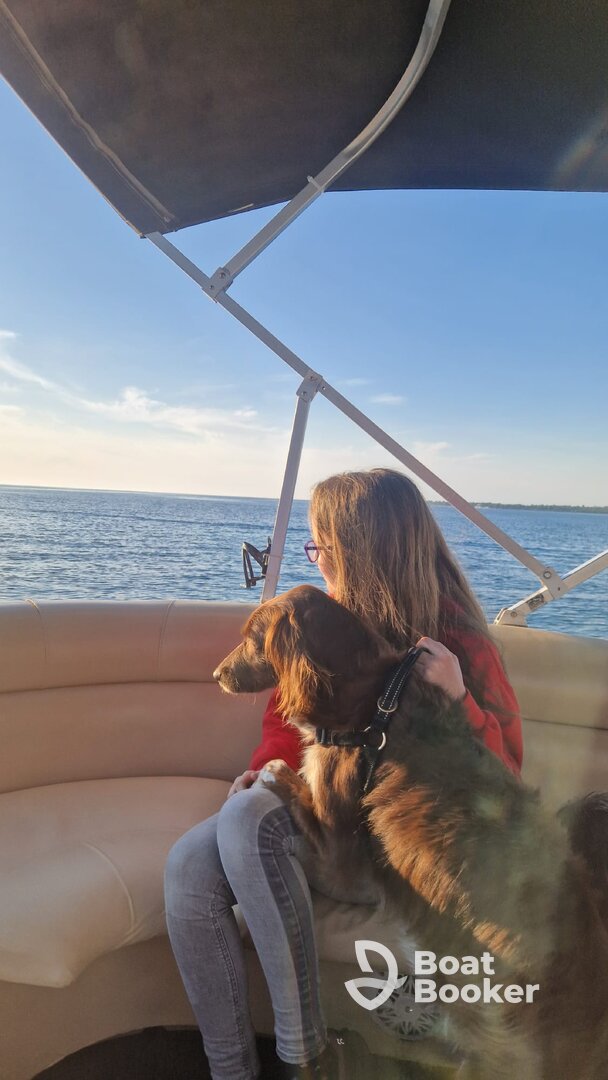 Dolfijnen spotten met gezin en onze 2 honden
