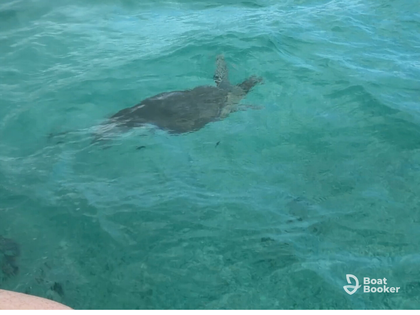 Unforgettable Bahamas experience