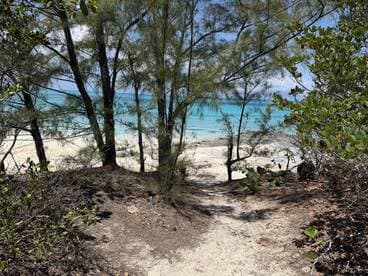 A serene view of a sandy beach framed by trees, showcasing the stunning turquoise waters — a perfect destination for relaxation and exploration.