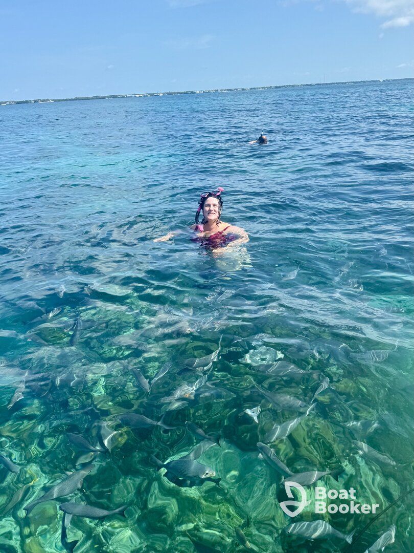 Perfect Day