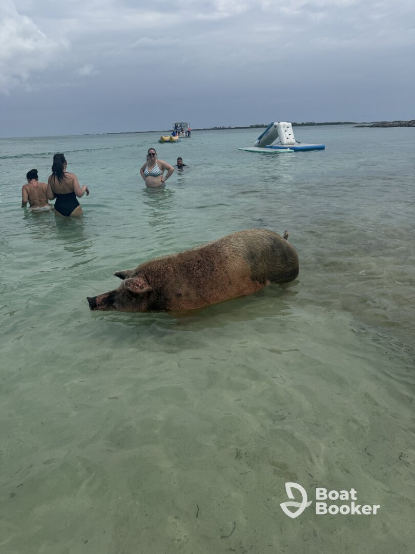 Best Excursion I've taken 