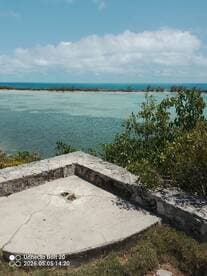 A view of a coastal area with unclear details, featuring a concrete structure and surrounding greenery.