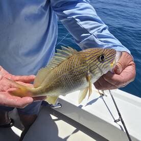 A close-up of a fisherman holding a beautifully striped fish, showcasing the thrill of a successful catch while out on the water.