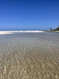 A serene view of a pristine beach with clear waters and a bright blue sky, perfect for showcasing tropical destinations and relaxation spots.