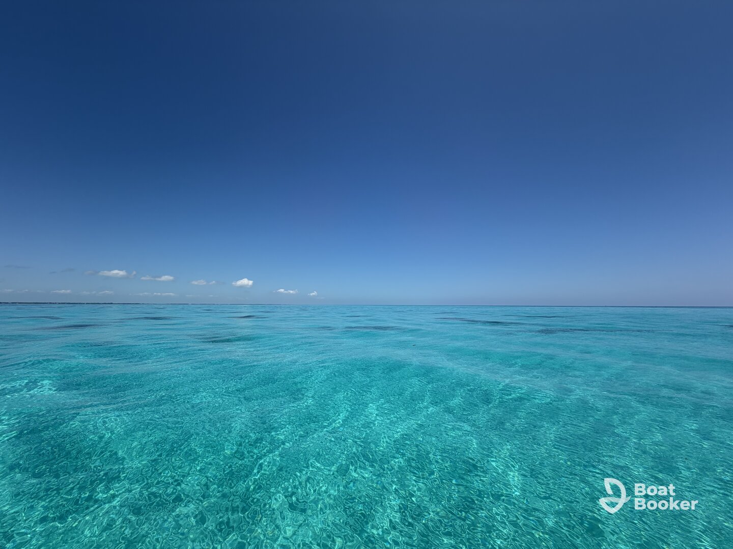 Private charter- snorkel & sightseeing 