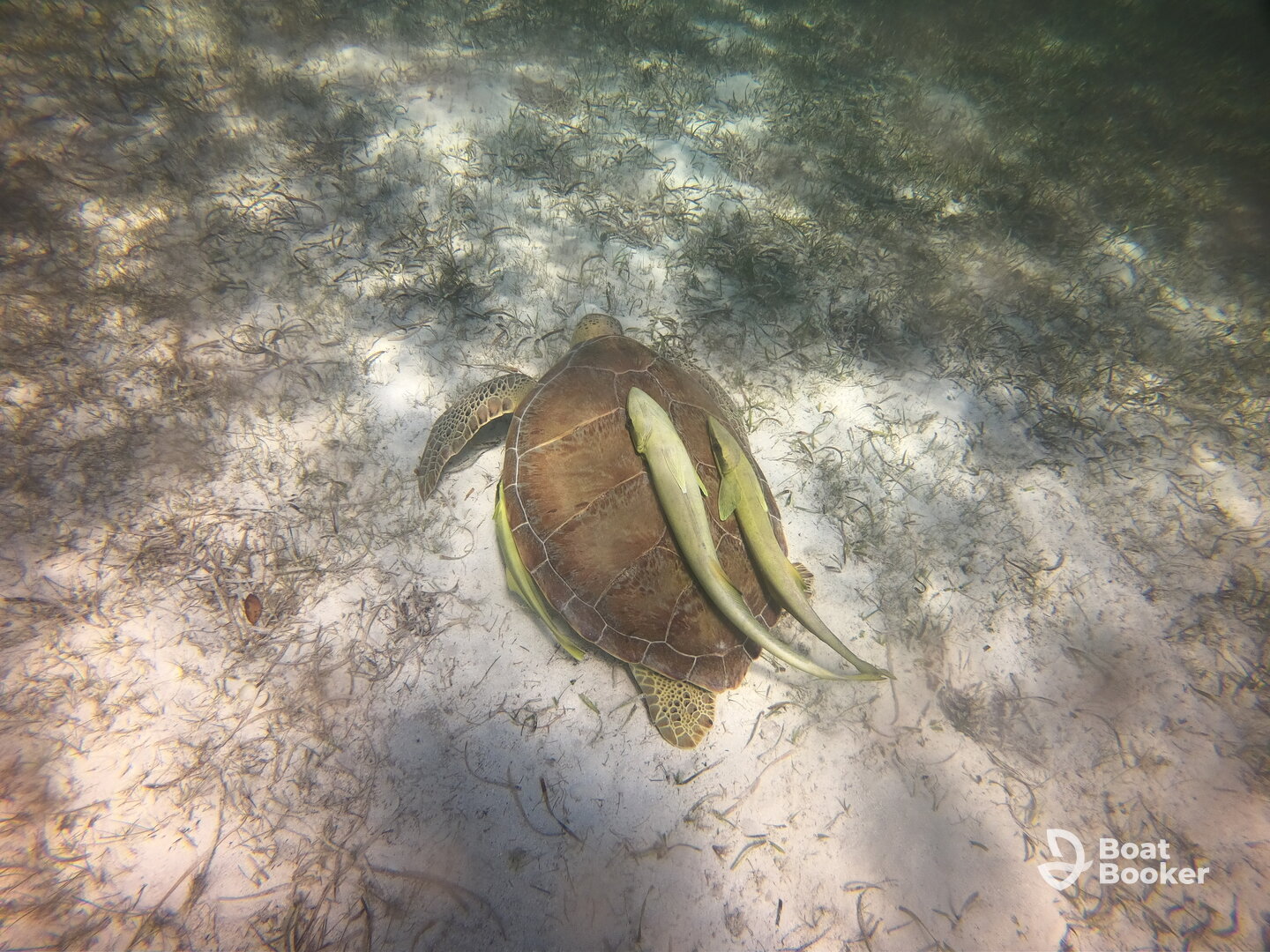 Loved this excursion