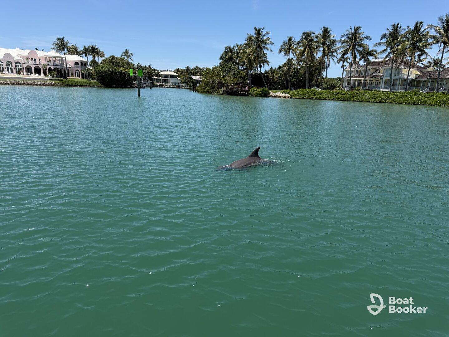 Best Boating Experience On Marco Island!!
