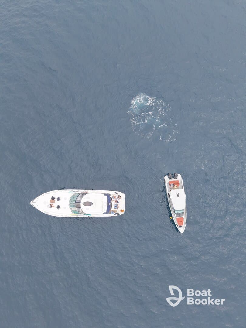 Aerial view of two boats on the water, showcasing a vibrant boating experience — perfect for adventure seekers and water enthusiasts.