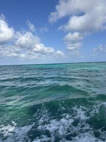 A scenic view of the ocean with waves and clouds, but lacks clarity and identifiable subjects.
