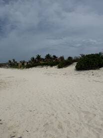 A view of a sandy beach with some vegetation and cloudy skies, lacking clear focus or identifiable features.