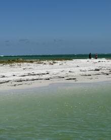 Two individuals enjoy a sunny day on a picturesque beach, with turquoise waters and a sandy coastline creating a perfect backdrop for relaxation and exploration.