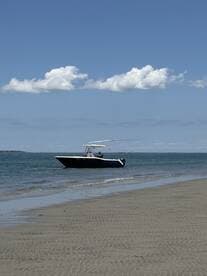 A sleek speedboat is seen docked in shallow waters, showcasing a beautiful day on the coast with clear skies and gentle waves.