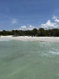 A serene view of a pristine beach with lush greenery and clear waters, perfect for a relaxing getaway or eco-tour adventures.