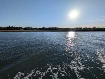 A serene view of shimmering water reflecting the sun, capturing the beauty of a peaceful day on the water.