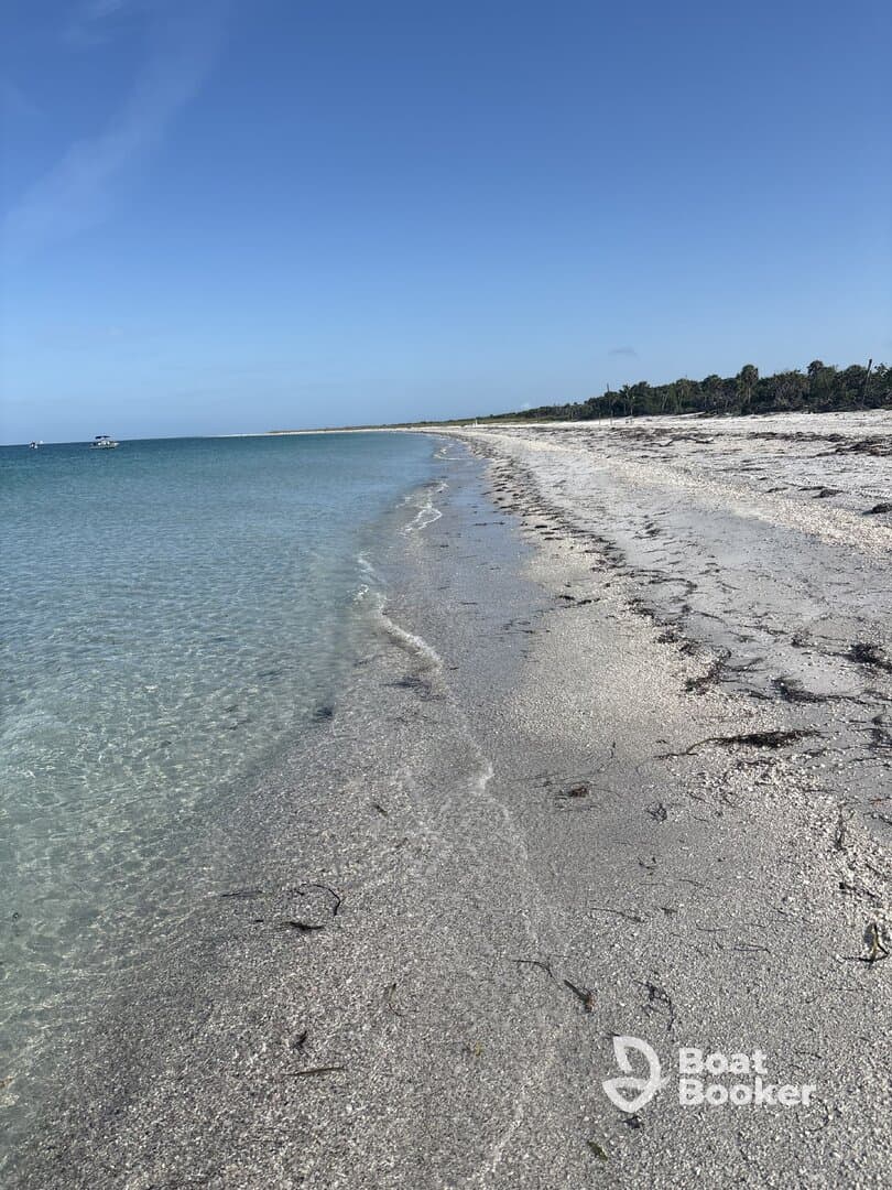 A serene view of a sandy beach meeting clear turquoise waters, perfect for a relaxing day by the coast.