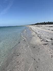 A serene view of a sandy beach meeting clear turquoise waters, perfect for a relaxing day by the coast.