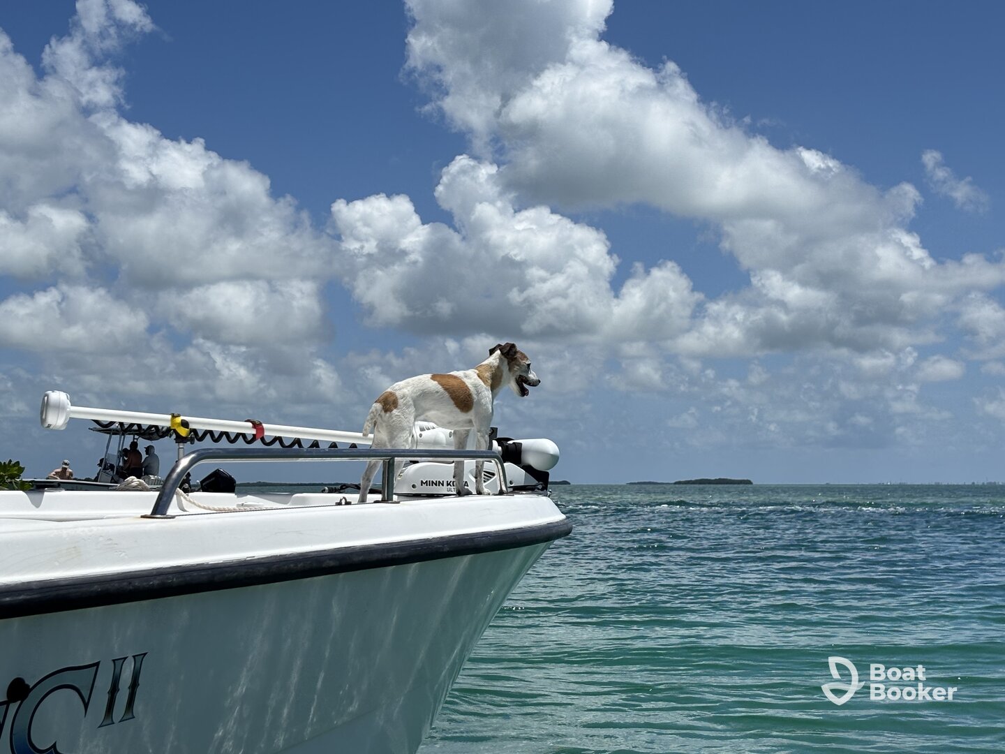 Captain Janis created an amazing day for us!