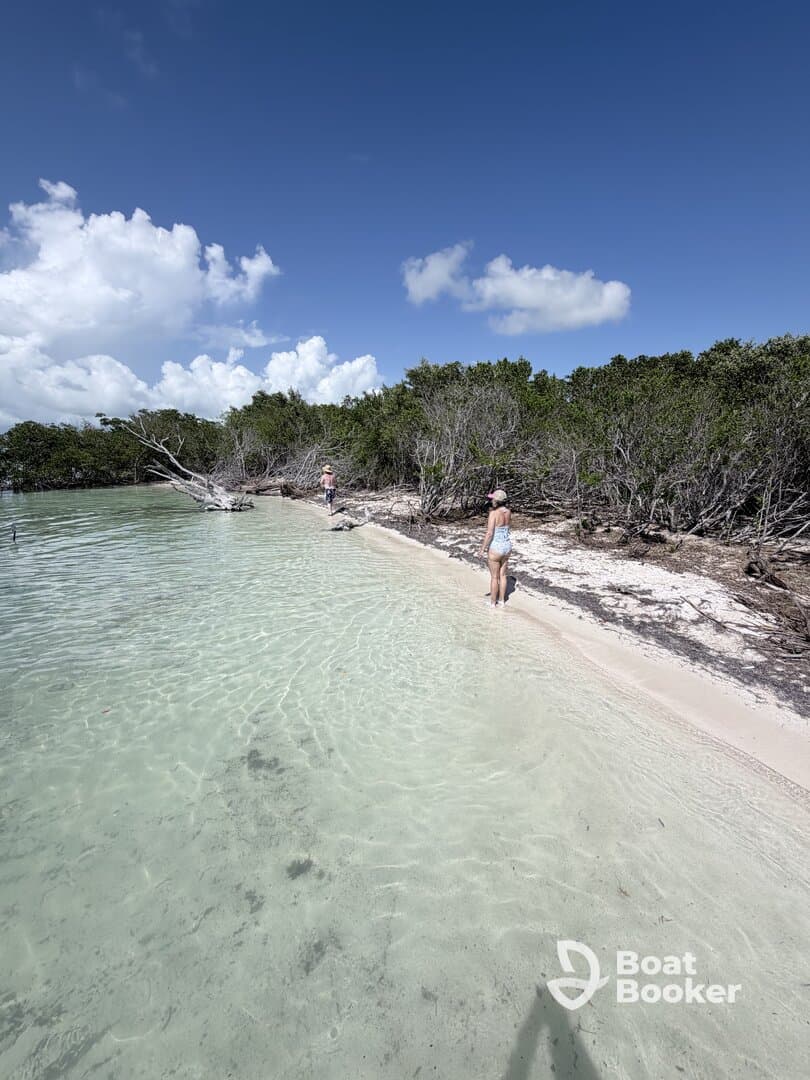 A family enjoys a sunny day at a sandy beach, exploring the shallow waters and mangroves — a perfect spot for relaxation and fun in the sun.