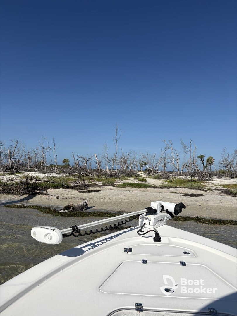 A clear view of the front of a boat anchored near a sandy shore, showcasing the vessel's structure against a bright blue sky.