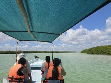 A group of guests enjoys a scenic boat ride through mangroves, capturing the beauty of wildlife, including flamingos in the distance.