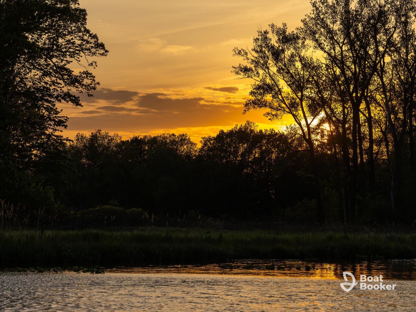A stunning sunset reflects on the water, framed by lush trees — a perfect moment for nature lovers and photographers.
