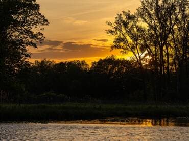 A stunning sunset reflects on the water, framed by lush trees — a perfect moment for nature lovers and photographers.