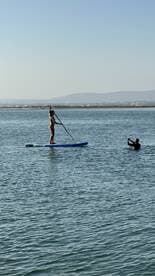 A paddleboarder enjoys a sunny day on the water while being photographed, capturing the essence of outdoor adventure and fun activities on the water.