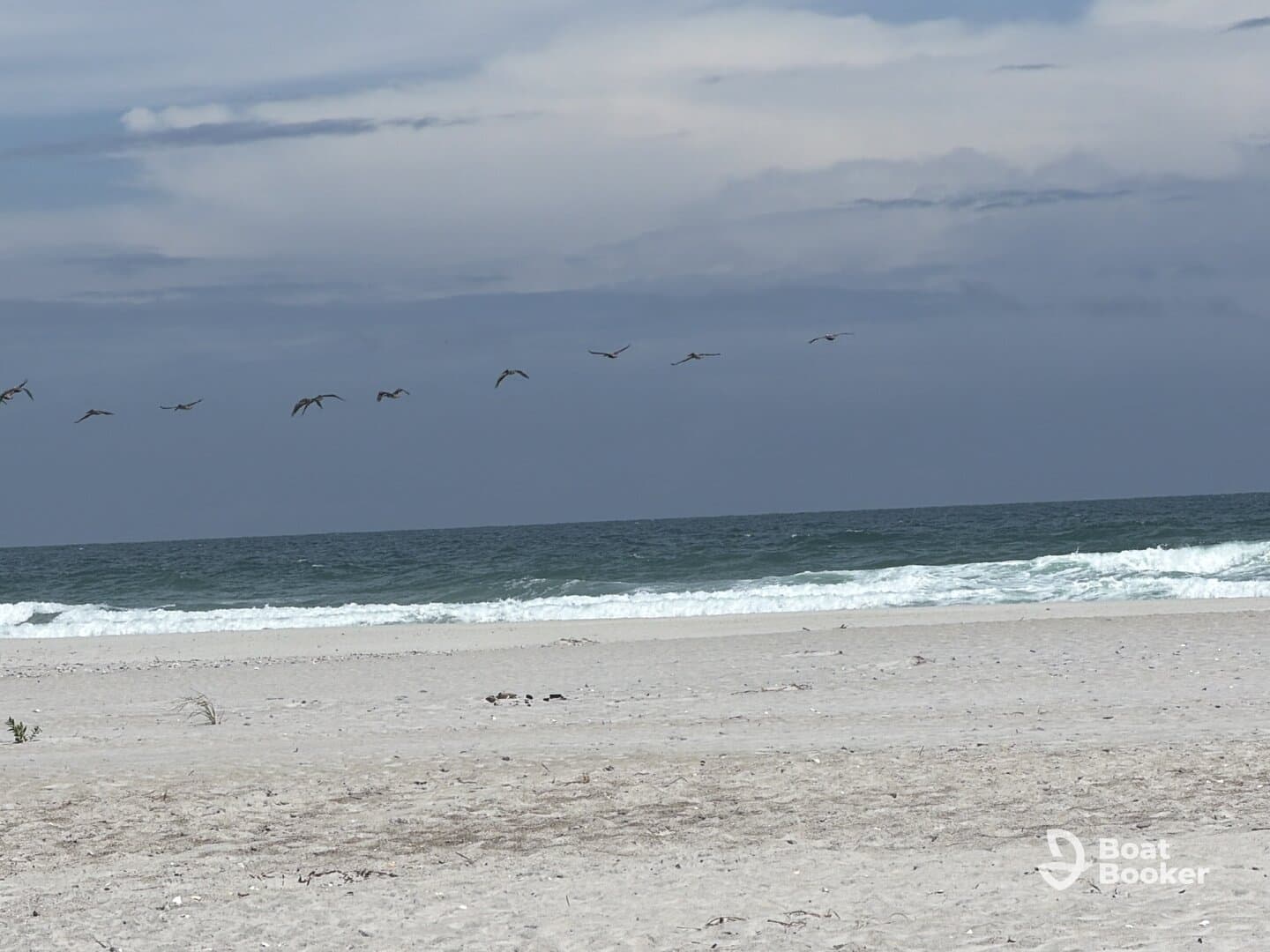 A stunning capture of birds flying over the ocean, showcasing the beauty of wildlife in a coastal setting.