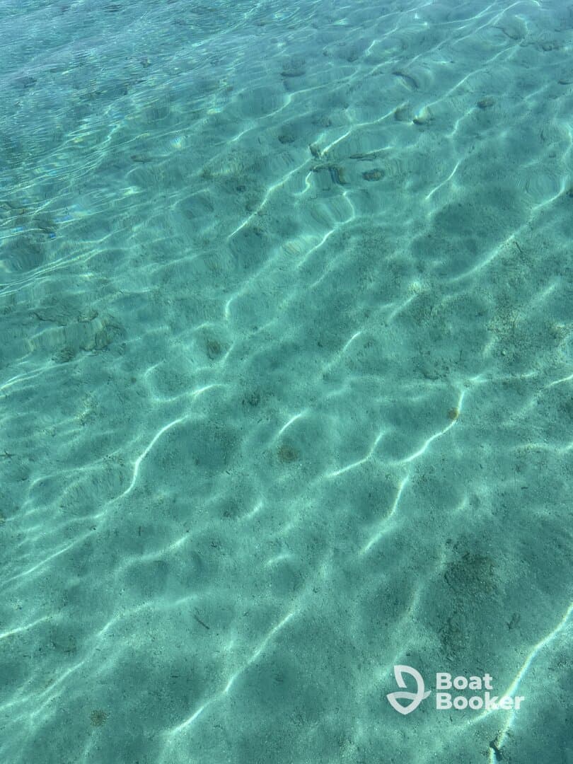 An underwater view of clear water with sandy bottom, showcasing the tranquil beauty of marine environments.