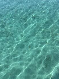 An underwater view of clear water with sandy bottom, showcasing the tranquil beauty of marine environments.