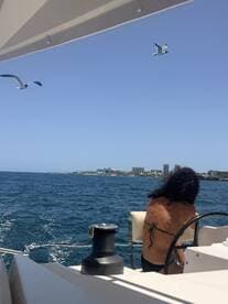 A woman enjoys the view from a boat, with the coastline in the background and seagulls flying overhead — a perfect moment on the water.
