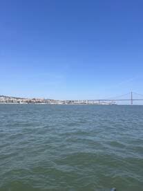A picturesque view of the coastline and a bridge, showcasing the beauty of the waterfront — perfect for scenic boat tours and exploration.