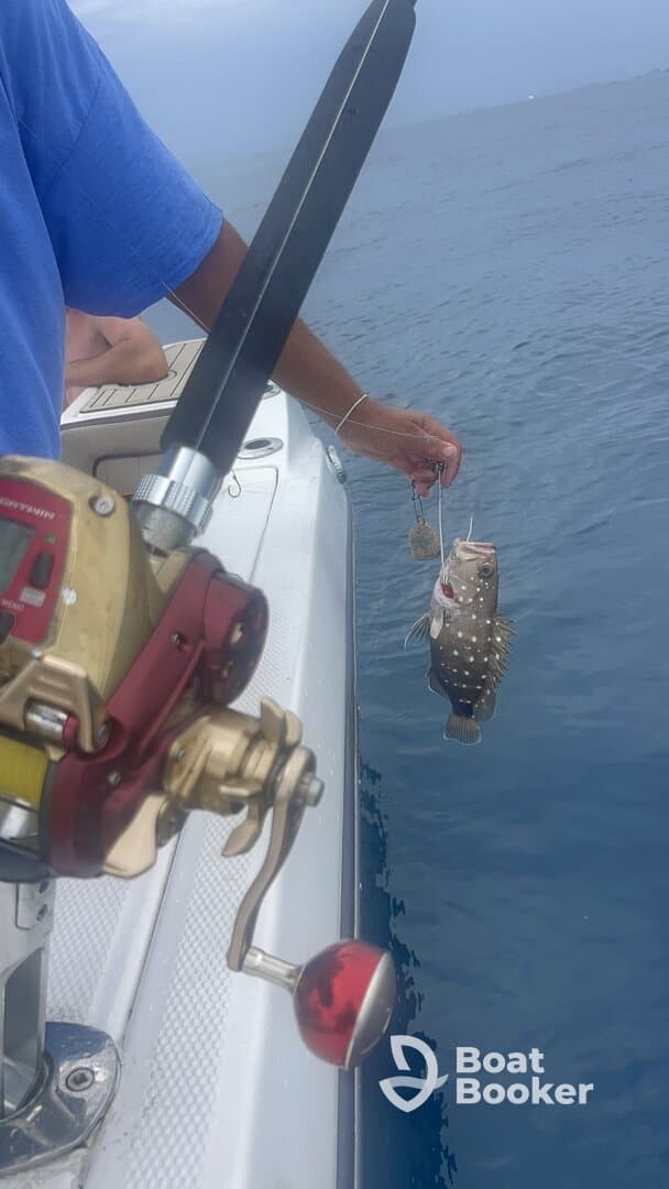 A successful fishing trip captured as a person holds up a freshly caught fish while on a boat, showcasing the excitement of ocean fishing.