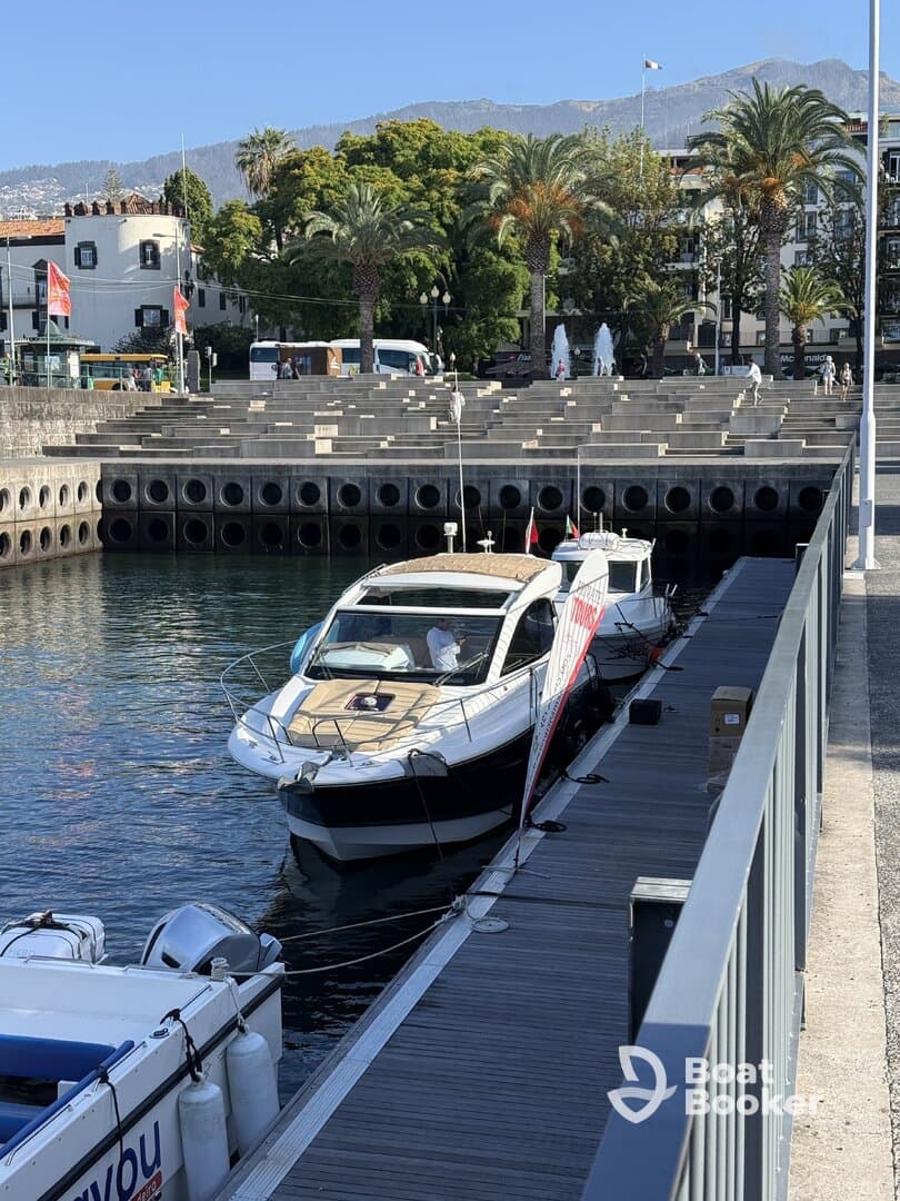 A sleek yacht docked at a marina, showcasing its elegant design against a backdrop of palm trees and scenic surroundings.