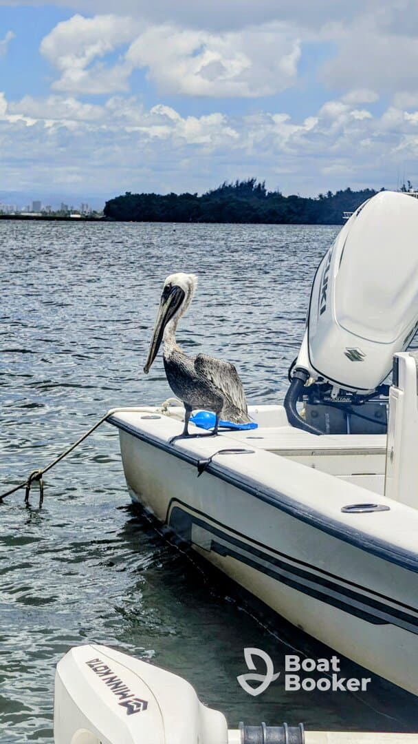 A pelican perches on the edge of a boat, showcasing the beauty of wildlife in a serene aquatic setting.