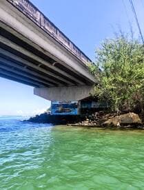 A view under a bridge with a mural and rocky shoreline, showcasing the natural beauty of the area.