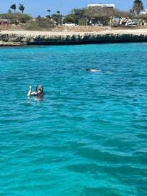 A snorkeler enjoys the vibrant underwater world in crystal-clear waters, showcasing the excitement of aquatic adventures.