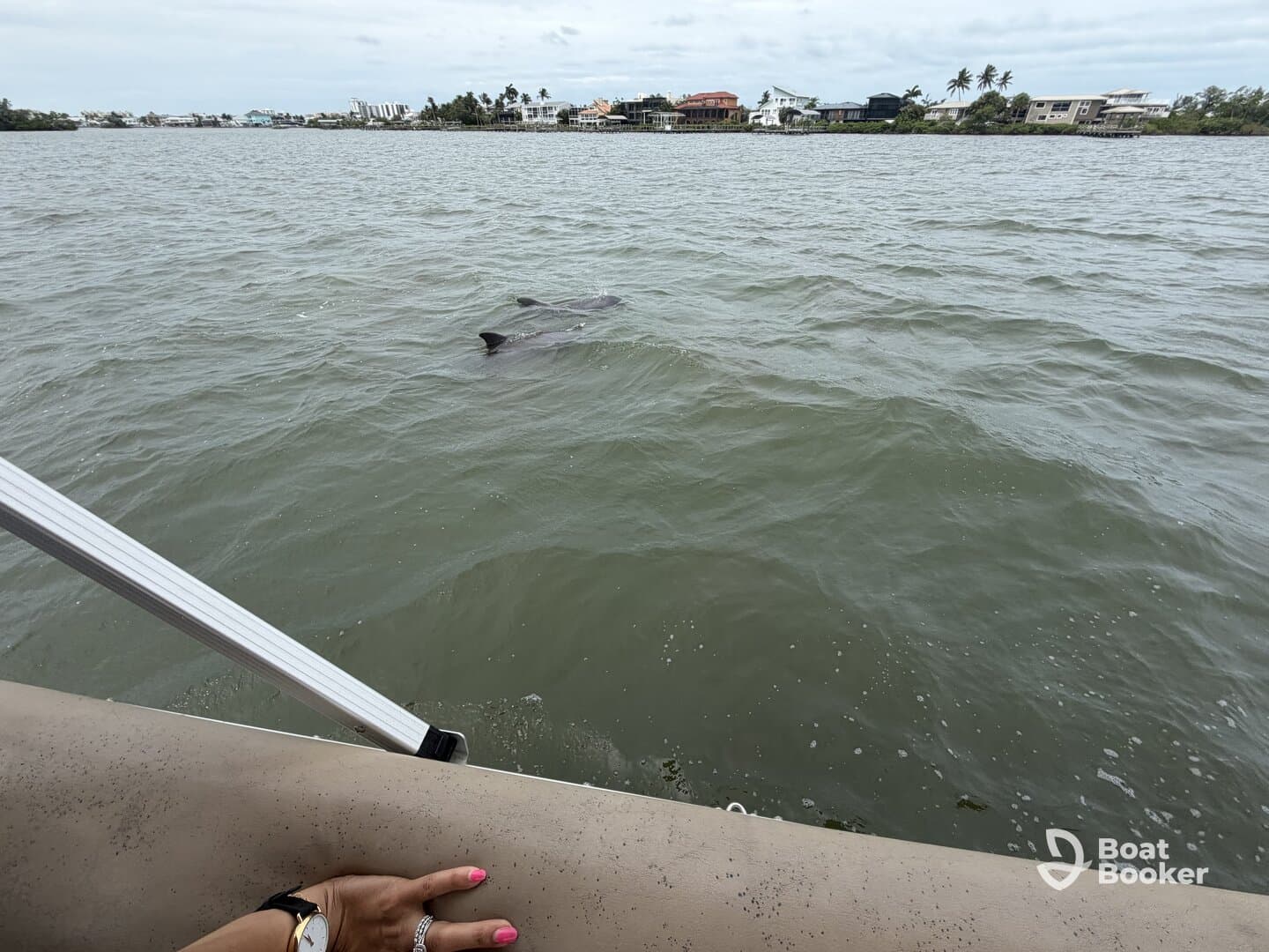 A dolphin swims alongside a boat, showcasing a beautiful moment of wildlife interaction in a serene waterway.