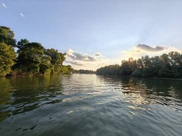 A serene view of the river at sunset, framed by lush greenery along the shoreline — perfect for nature lovers and peaceful boating experiences.