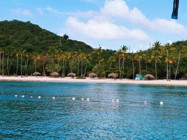 A serene view of a picturesque beach with palm trees and thatched umbrellas, perfect for a relaxing getaway or island adventure.