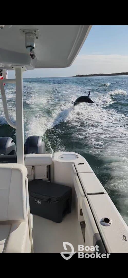A dolphin leaps gracefully from the water alongside a boat, showcasing the beauty of marine wildlife during a boating adventure.